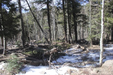 Great spot to add your very own spot in the mountains. .87 of an - photo 8