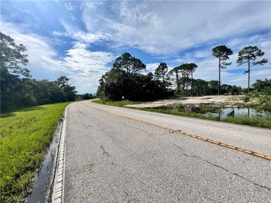 Beautiful lot offers a unique opportunity to build the home of - photo 3