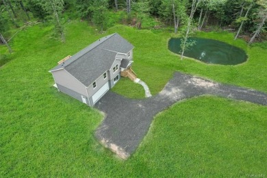 (private lake, pond, creek) Home For Sale in Highland New York