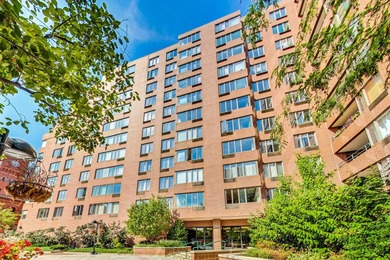 Lake Michigan - Cook County Condo For Sale in Chicago Illinois