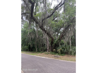 Not every great homesite is defined by what's in front of it - photo 19