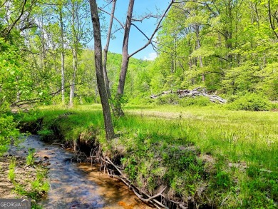 Lake Acreage For Sale in Dillard, Georgia