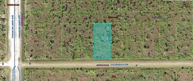 Lake Weohyakapka Lot For Sale in Indian Lake Estates Florida