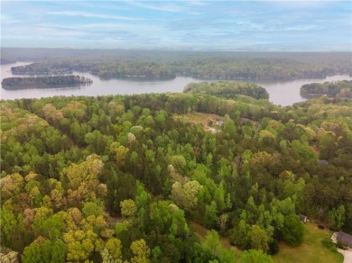 Lake Hartwell Lot For Sale in Lavonia Georgia