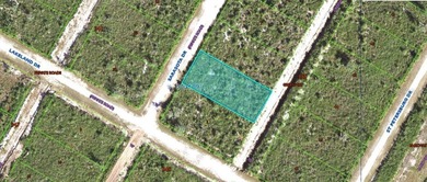 Lake Weohyakapka Lot For Sale in Indian Lake Estates Florida