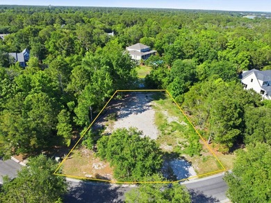(private lake, pond, coastal) Lot For Sale in Georgetown South Carolina