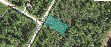 Lake Weohyakapka Lot For Sale in Indian Lake Estates Florida