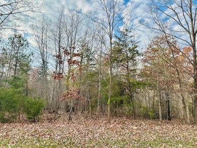 Lake Lot For Sale in Moneta, Virginia