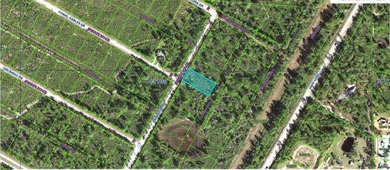 Take advantage of this 0.52-acre vacant  lot on Sarasota Drive - photo 4