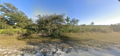 Take advantage of this 0.52-acre vacant  lot on Sarasota Drive - photo 5