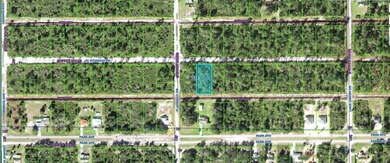 Lake Weohyakapka Lot For Sale in Indian Lake Estates Florida