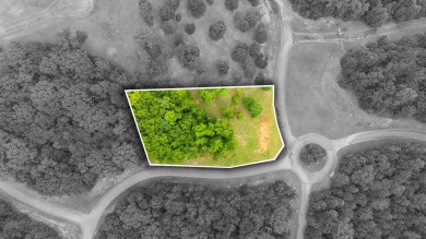 Lake Lot For Sale in Spring City, Tennessee