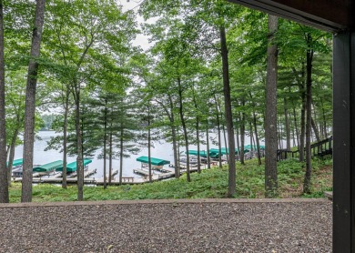 Lake Condo For Sale in Minocqua, Wisconsin