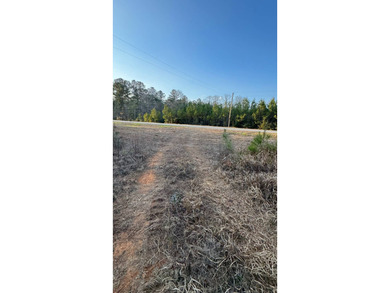 WELCOME TO THE GREENE 108, LOCATED OFF HIGHWAY 42 BETWEEN SAND - photo 18
