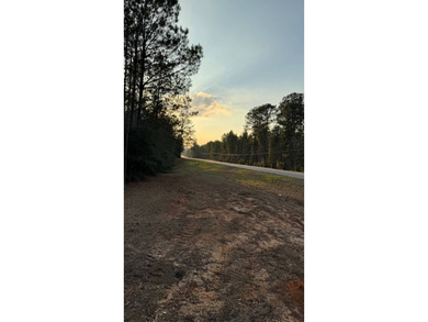 WELCOME TO THE GREENE 108, LOCATED OFF HIGHWAY 42 BETWEEN SAND - photo 19