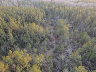 WELCOME TO THE GREENE 108, LOCATED OFF HIGHWAY 42 BETWEEN SAND - photo 23