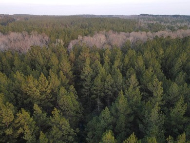WELCOME TO THE GREENE 108, LOCATED OFF HIGHWAY 42 BETWEEN SAND - photo 27