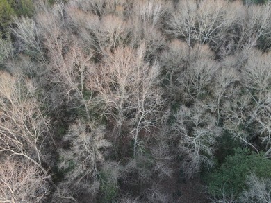 WELCOME TO THE GREENE 108, LOCATED OFF HIGHWAY 42 BETWEEN SAND - photo 28