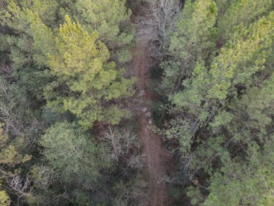 WELCOME TO THE GREENE 108, LOCATED OFF HIGHWAY 42 BETWEEN SAND - photo 29