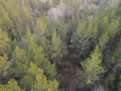 WELCOME TO THE GREENE 108, LOCATED OFF HIGHWAY 42 BETWEEN SAND - photo 30