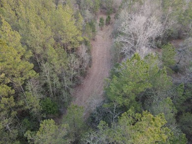 WELCOME TO THE GREENE 108, LOCATED OFF HIGHWAY 42 BETWEEN SAND - photo 31