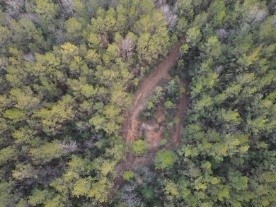 WELCOME TO THE GREENE 108, LOCATED OFF HIGHWAY 42 BETWEEN SAND - photo 33