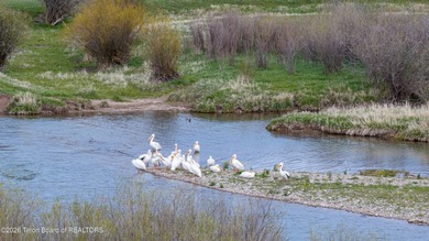Tucked into Wyoming's Star Valley, JnS Ranch is 561 acres of - photo 33