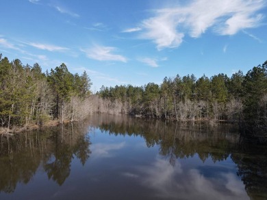 WELCOME TO THE GREENE 108, LOCATED OFF HIGHWAY 42 BETWEEN SAND - photo 37