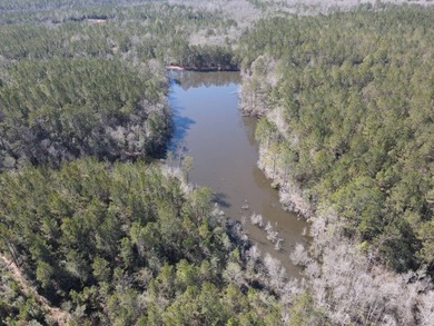 WELCOME TO THE GREENE 108, LOCATED OFF HIGHWAY 42 BETWEEN SAND - photo 38