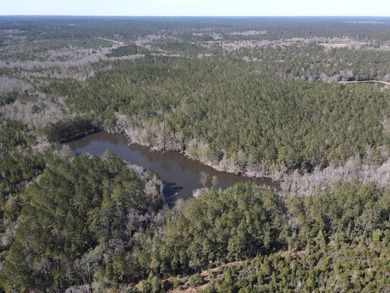 WELCOME TO THE GREENE 108, LOCATED OFF HIGHWAY 42 BETWEEN SAND - photo 39