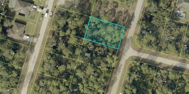 Lehigh Acres Area Lot For Sale in Lehigh Acres Florida