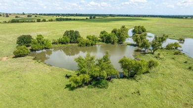 (private lake, pond, creek) Acreage For Sale in De Leon Texas