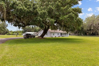 Exceptional Opportunity to Own a Fully Renovated Ranch Property - photo 13