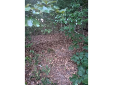 Lake Lot For Sale in Murchison, Texas