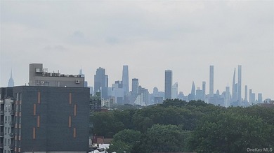 One-of-a-kind Top Floor Private Corner Unit facing Western - photo 27