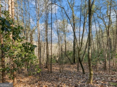 Lake Laceola Lot For Sale in Cleveland Georgia