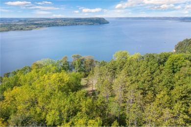 Lake Pepin  Acreage For Sale in Stockholm Wisconsin