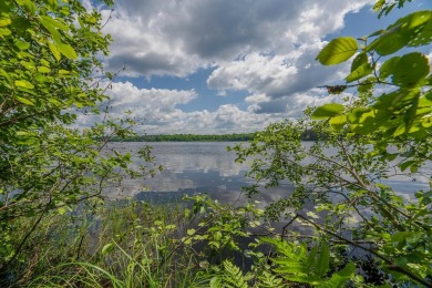 Lake Lot For Sale in Three Lakes, Wisconsin