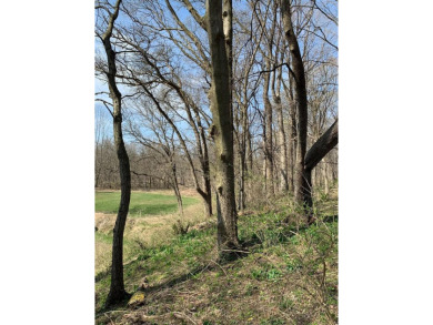 (private lake, pond, creek) Acreage Active Under Con in Morris Illinois