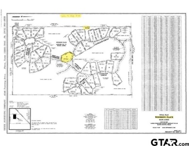 Lake Lot For Sale in Alba, Texas