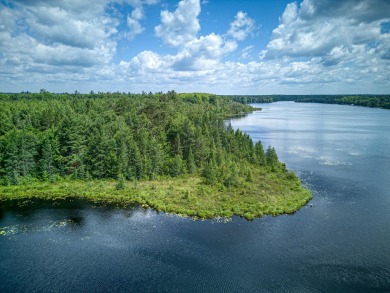 Lake Acreage For Sale in Three Lakes, Wisconsin