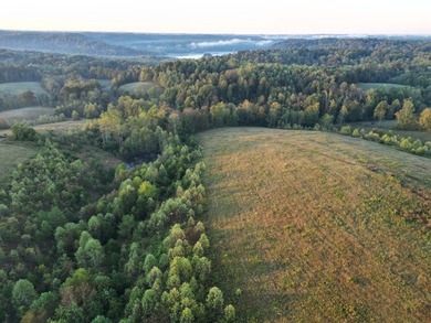 Experience 58+/- acres of south central Kentucky countryside on - photo 3