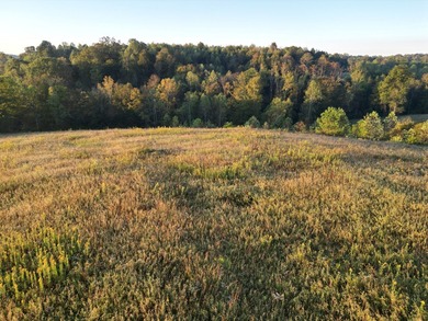 Experience 58+/- acres of south central Kentucky countryside on - photo 4