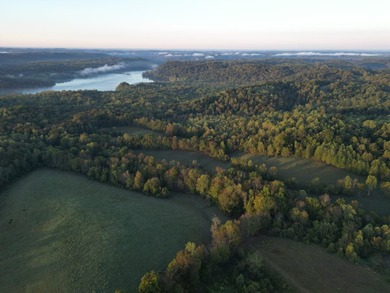 Experience 58+/- acres of south central Kentucky countryside on - photo 5