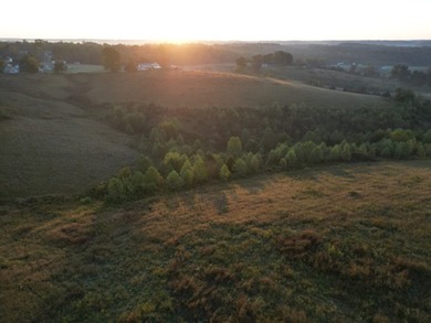 Experience 58+/- acres of south central Kentucky countryside on - photo 6