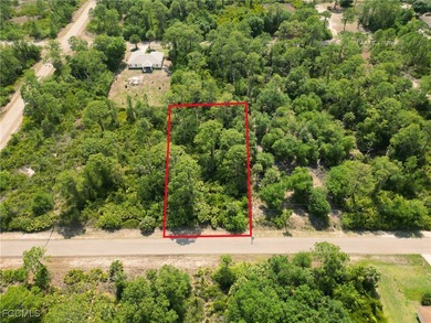 Lehigh Acres Area Lot For Sale in Lehigh Acres Florida