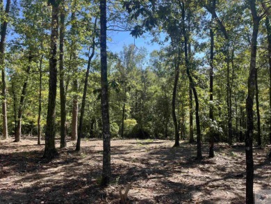 Lake Pinedo Lot For Sale in Out of Area Arkansas