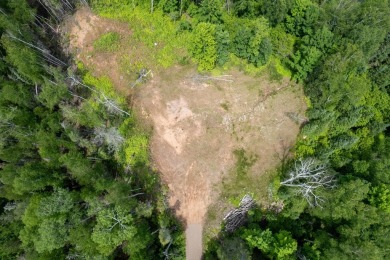 14AC Dunn Lake Parcel - photo 3