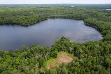 14AC Dunn Lake Parcel - photo 6