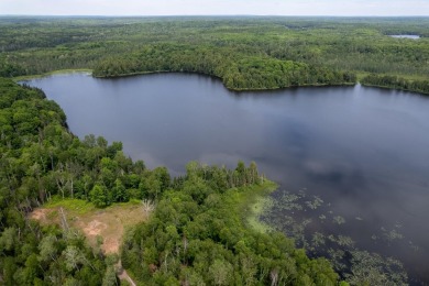 14AC Dunn Lake Parcel - photo 8